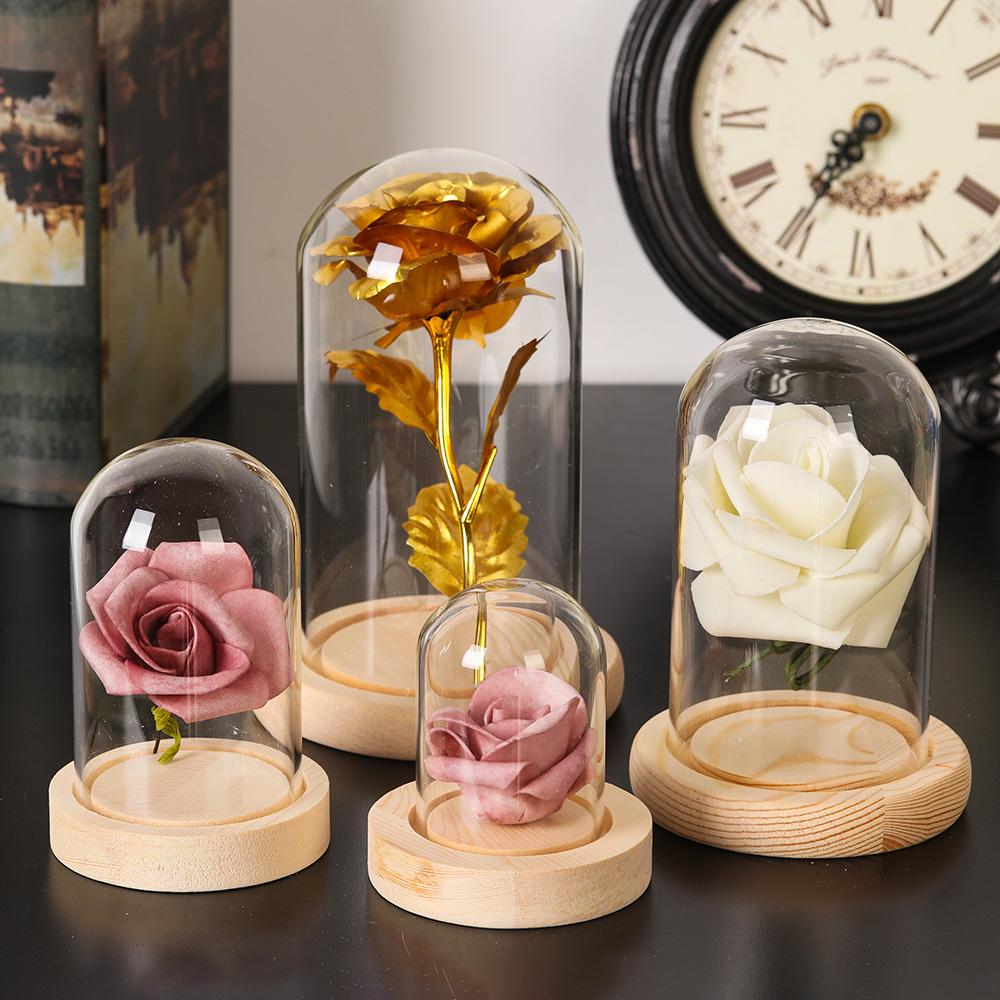 Décoration d'intérieur, plante - Home Decor Glass avis et prix