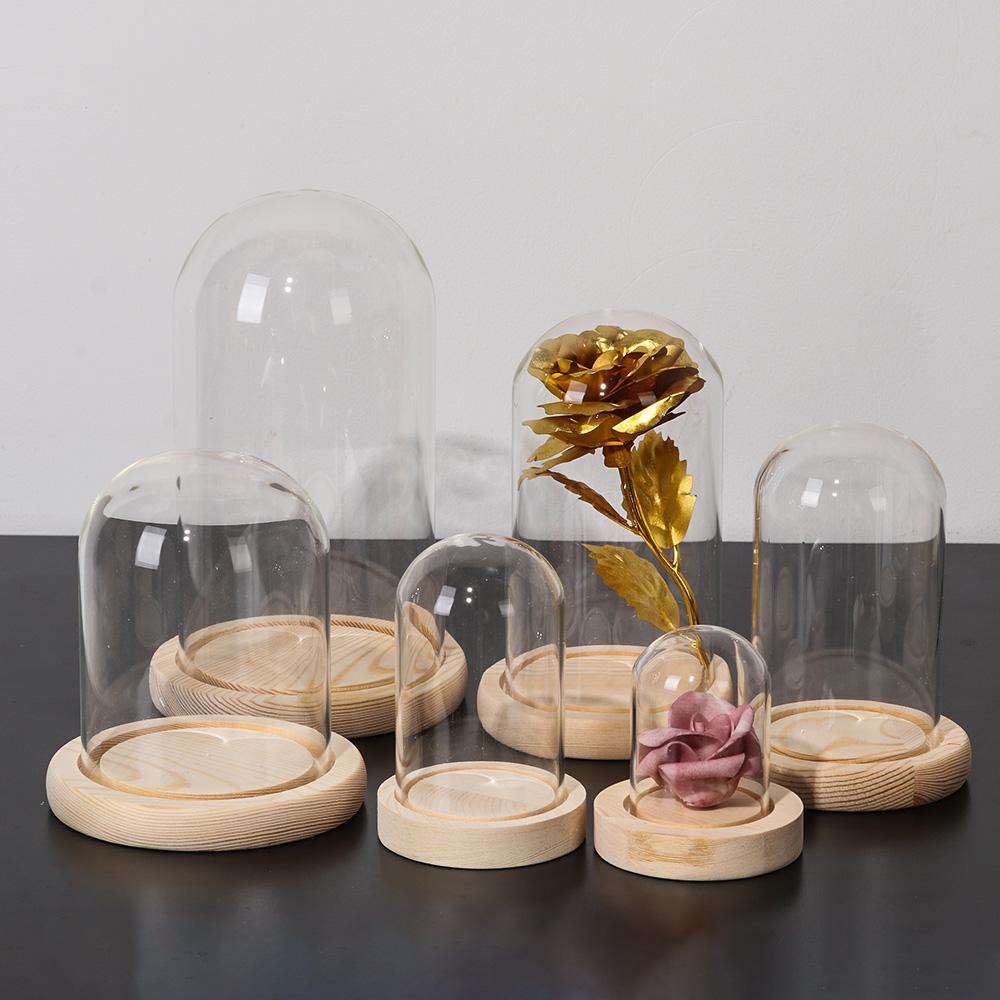 Décoration d'intérieur, plante - Home Decor Glass avis et prix