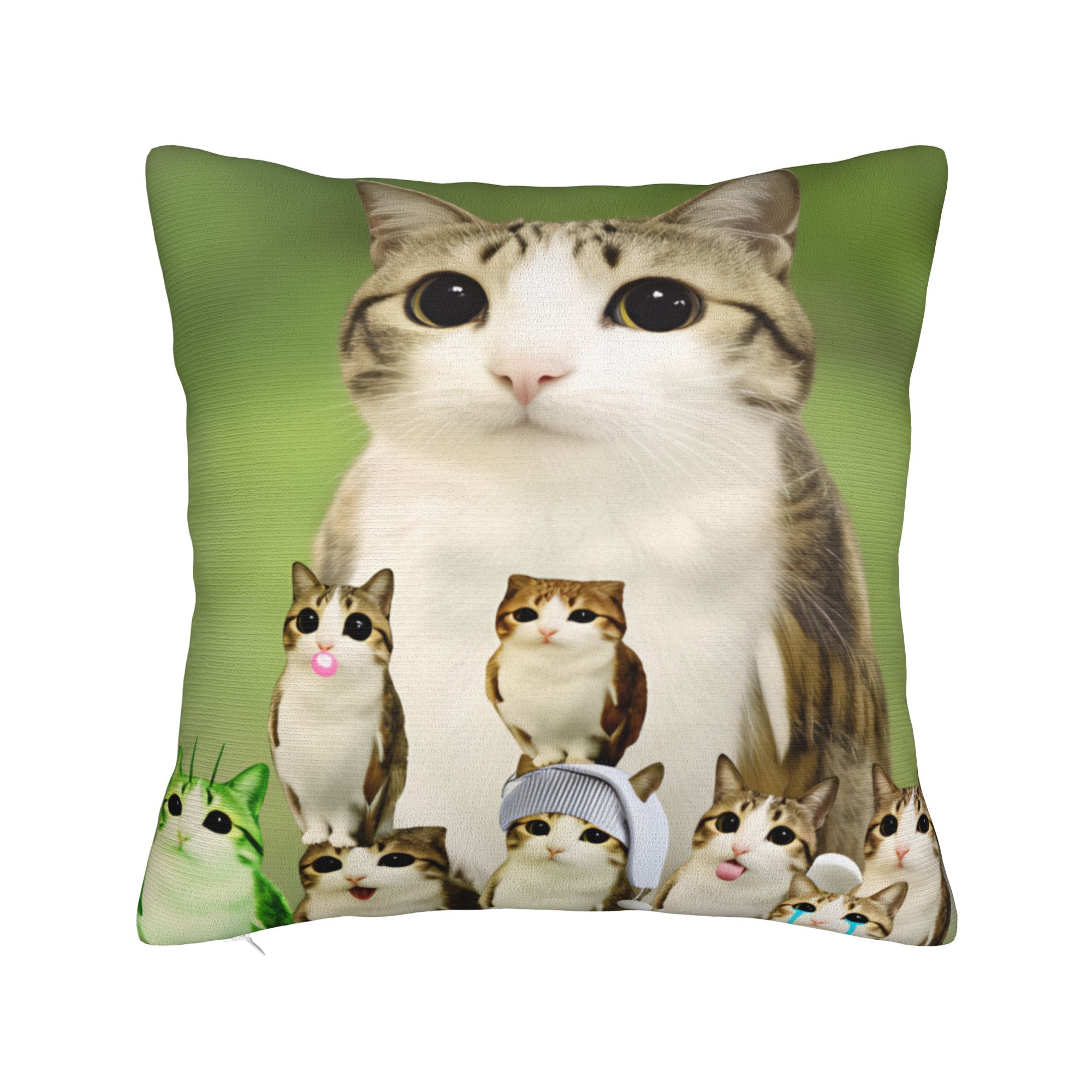 Housse de coussin amusante Meo - Home Decor Png avis et prix